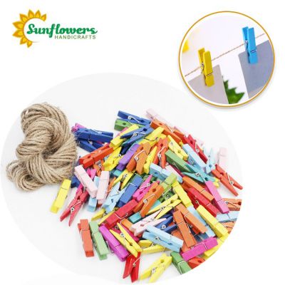 Colored WOODEN PEGS IN diy Arts and Crafts Projects 