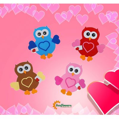 EVA Valentine Owl Craft Kit